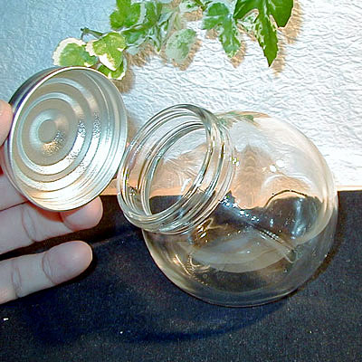 楽天市場】丸ネコ瓶 : ホームデポ