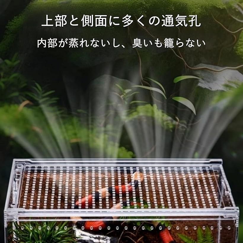 楽天市場】【楽天ランキング1位入賞】爬虫類 ケージ シェルター