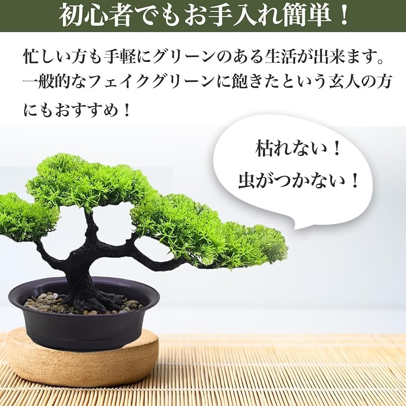 楽天市場】ミニ盆栽 松 ドライ盆栽 卓上 枯れない フェイクグリーン