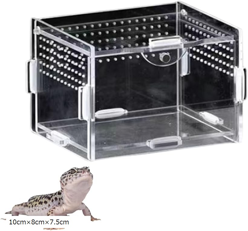 楽天市場】棚板 ケージ（その他｜爬虫類・両生類）：ペット・ペット