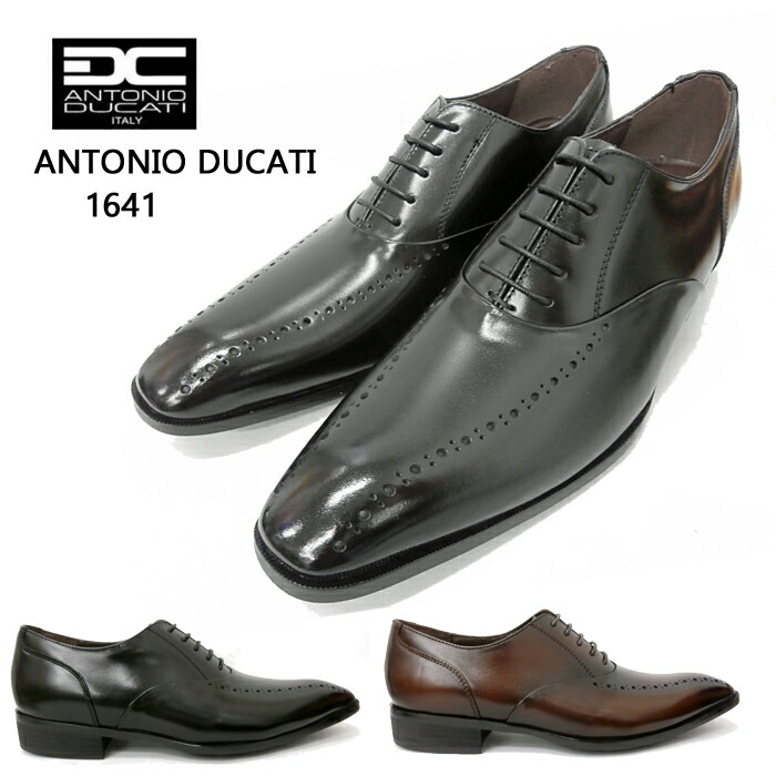 楽天市場】ビジネスシューズ 紳士靴 アントニオドゥカティ ANTONIO