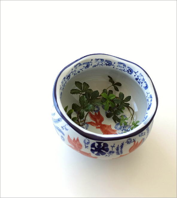 楽天市場】金魚鉢 おしゃれ 陶器 メダカ鉢 和風 レトロ アンティーク