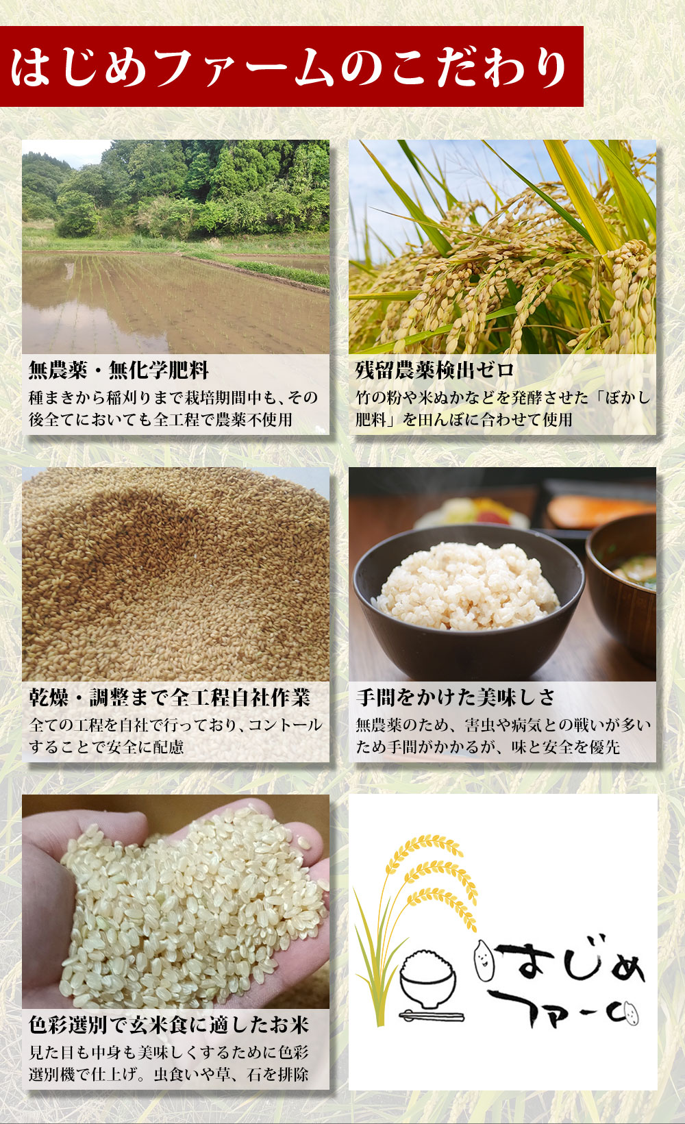 楽天市場】令和7年産 無農薬 玄米 5kg 10kg 30kg 熊本県産 コシヒカリ