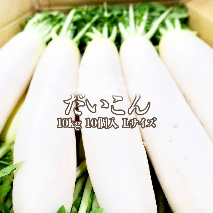 楽天市場】【国産】大根 10kg 10入れ Lサイズ 送料無料 だいこん