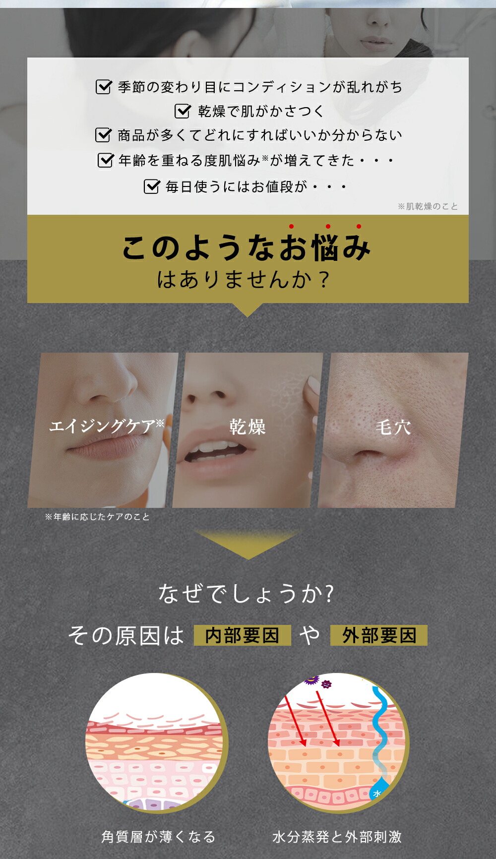 楽天市場】【高濃度成分UP☆新登場！】高評価☆CICIBELLA シートマスク