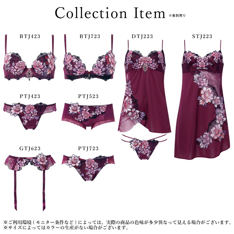 ニッキー品種60種セット！ 本日10時剪定！明日まで！イチジク 穂木の