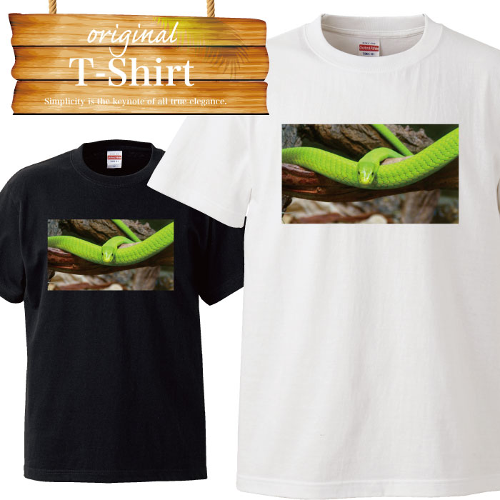 楽天市場】SNAKE Tシャツの通販