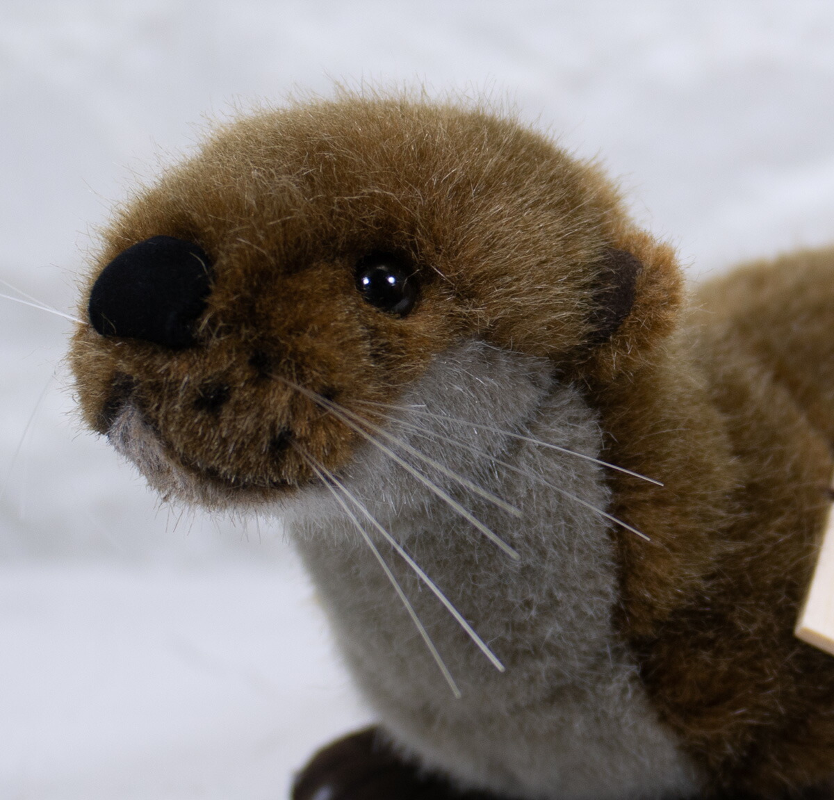 楽天市場】ケーセン ぬいぐるみ Kosen 小さなカワウソ「ロッティ