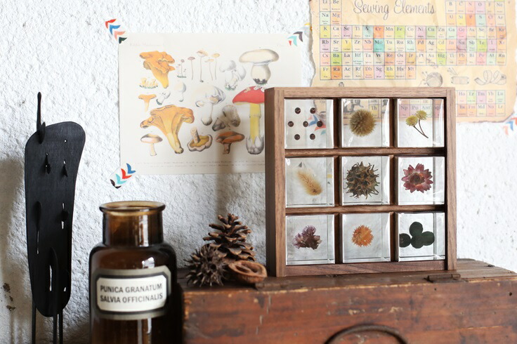 楽天市場】【送料無料】宙-sola- ソラ sola cube 標本箱木箱セット