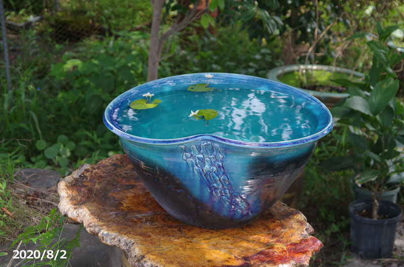 楽天市場】信楽焼 睡蓮鉢 陶器 大型 青ガラスたわみ水鉢 19号（外径