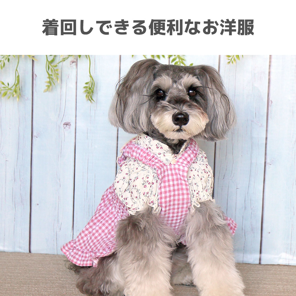 楽天市場】【 犬 服 秋冬 】iDog フリルブラウス iDog fleur アイ