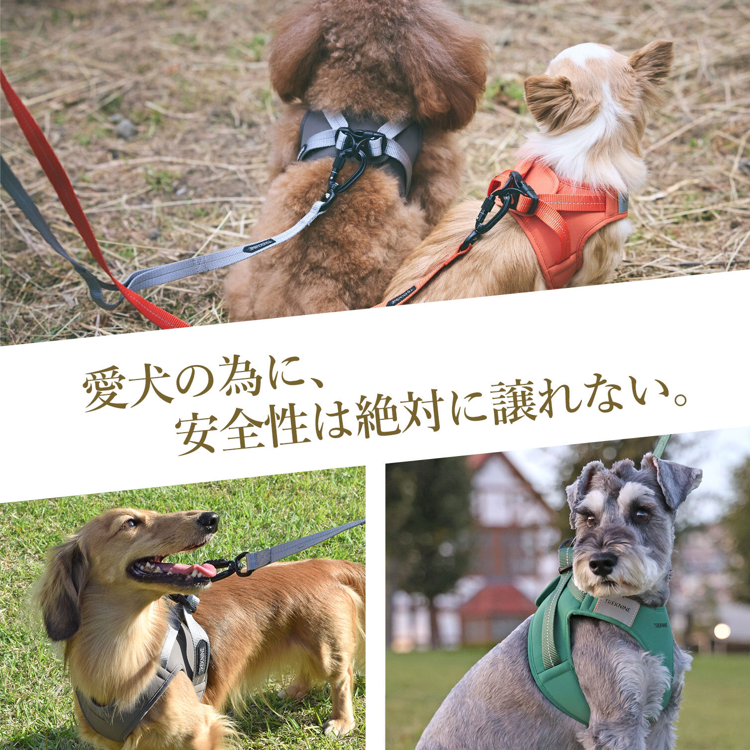 楽天市場】【 犬 ハーネス 】iDog TREKNINE ハーネス コンフォートAIR