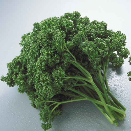 楽天市場】【税込 バラ売り】千葉県産他 パセリ 200g 1袋（パセリ