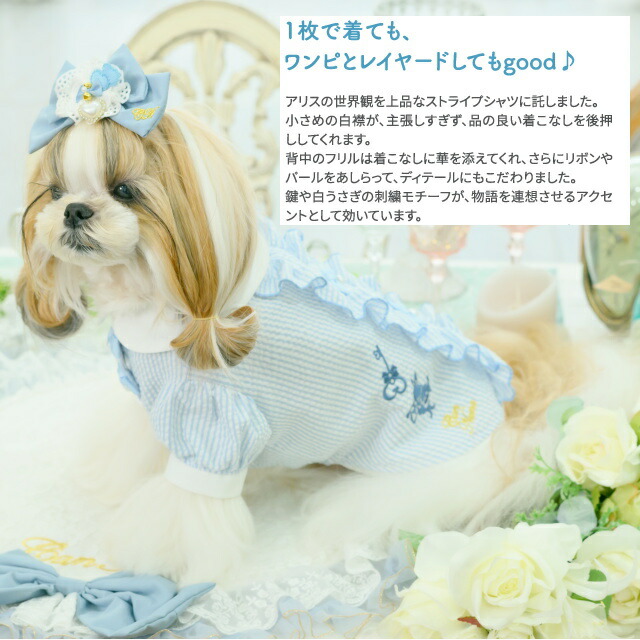 楽天市場】新作 犬服 ワンピース CanNana 【きゃんナナ】アリス