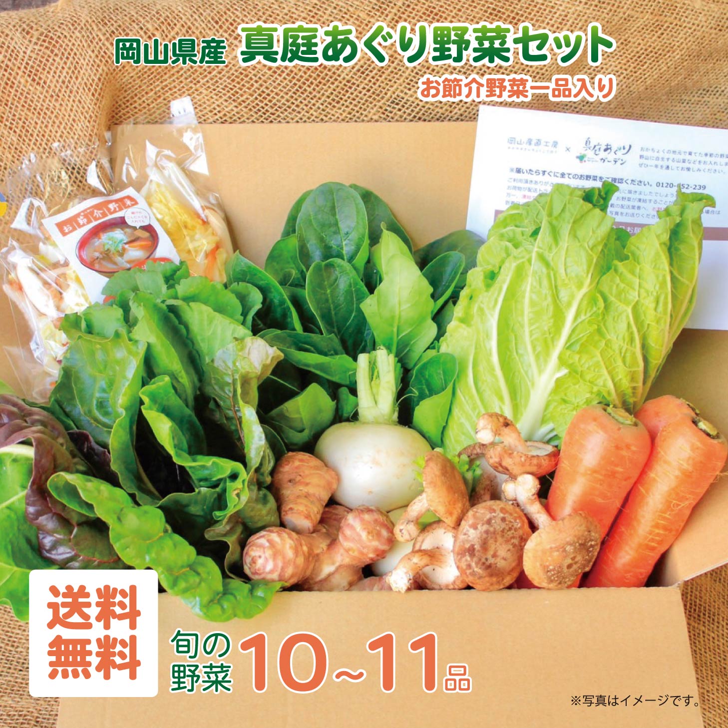 楽天市場】真庭あぐり野菜セット 野菜セット 送料無料 詰め合わせ