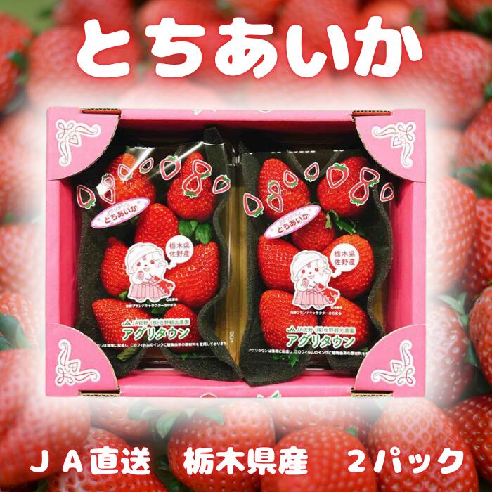 楽天市場】いちご とちあいか 2パックセット 送料無料 栃木県産 さの