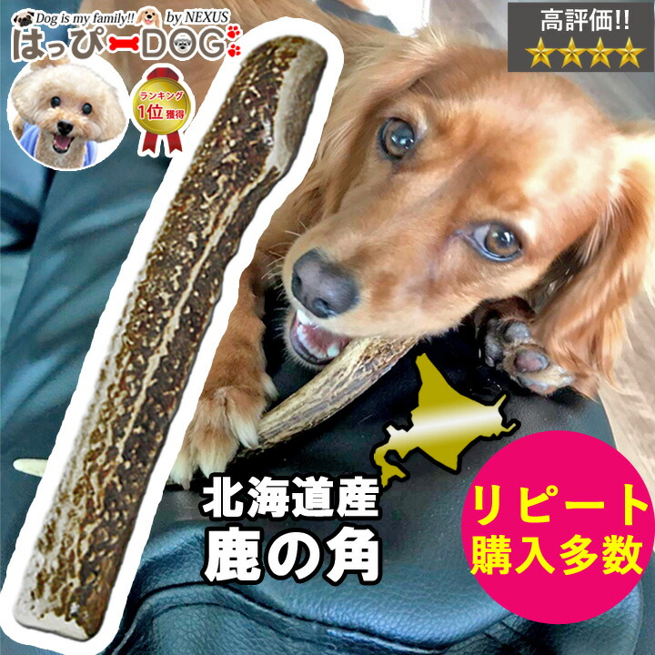楽天市場】鹿の角 犬のおもちゃ 半割 ロング 20cm 北海道 かじる 天然