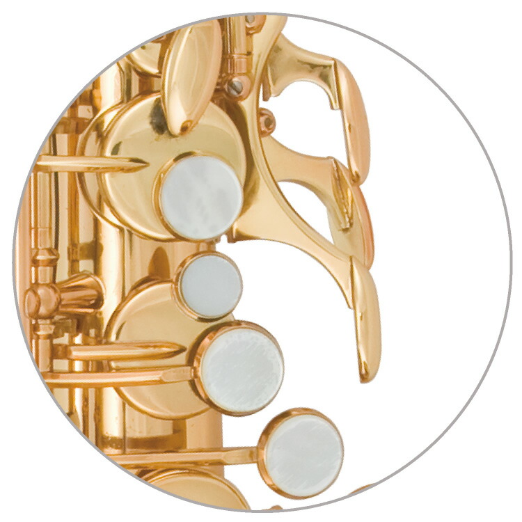 楽天市場】Antigua アンティグア Pro One アルトサックス ヴィンテージ