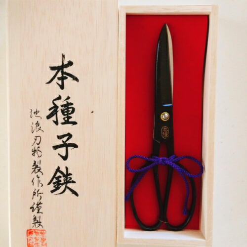 楽天市場】本種 池浪刃物製作所 種子島はさみ6寸木箱入り純手打ち黒