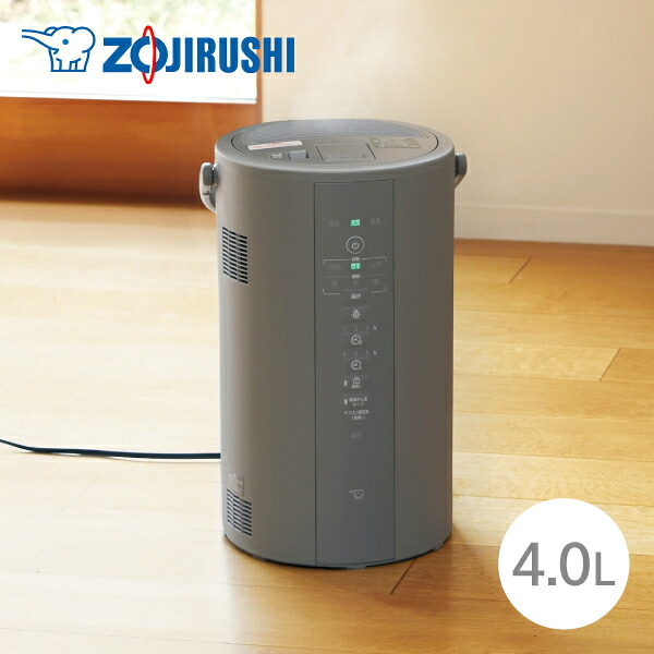 2024年製 象印 スチーム式加湿器 グレー EE-DE50 象印 EE-DE50-HA