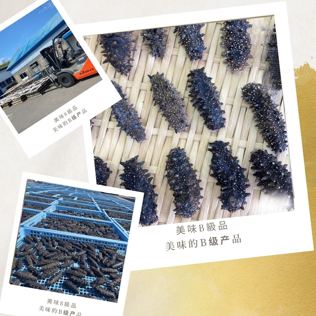 楽天市場】北海道産 乾燥ナマコ【B品】訳あり2Lサイズ 1000g 乾燥海鼠