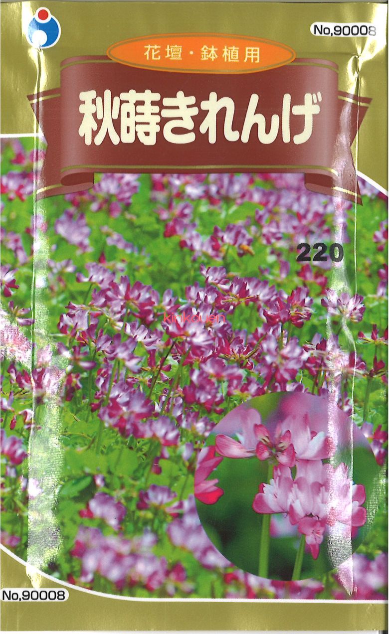 楽天市場】【代引不可】 seed たね tane 種 種子 □秋蒔きれんげ