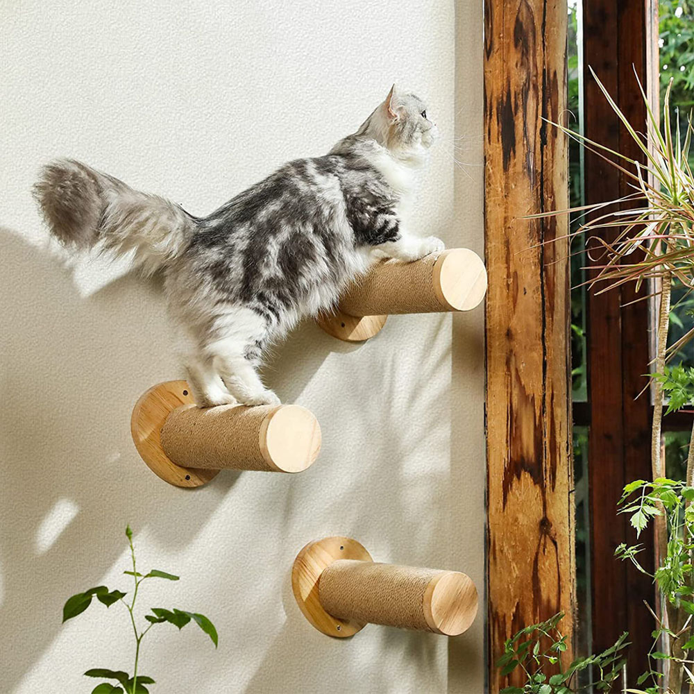 楽天市場】【半額&5%OFFクーポン配布4日20時〜 利用条件あり