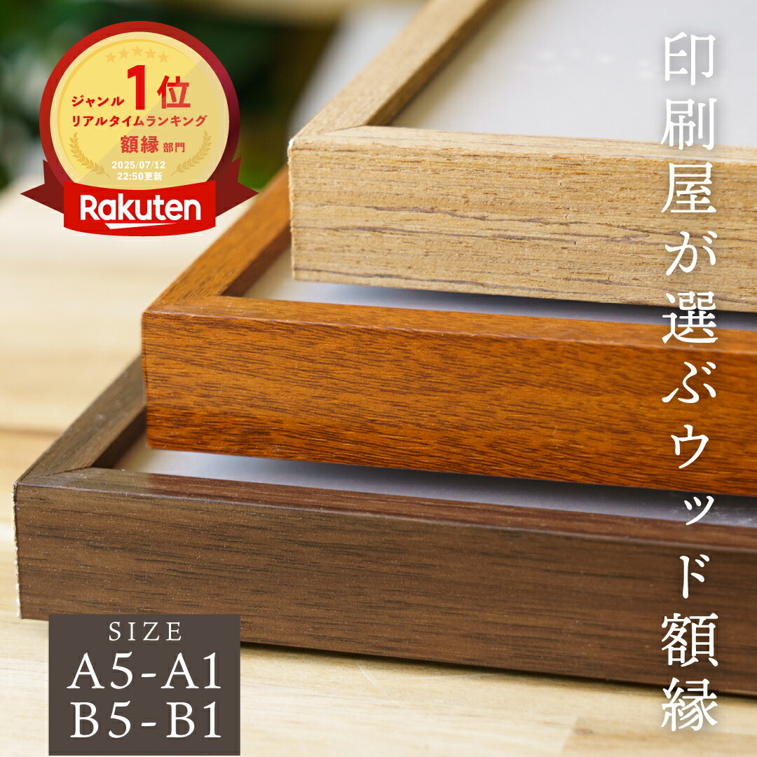 b4 額縁 木製」の人気商品一覧 | 安い商品を通販サイトから探す - 価格.com