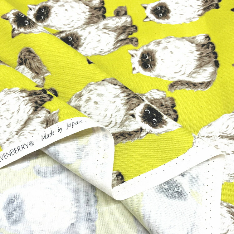 楽天市場】猫 ヒマラヤン オックス 綿100％ 約110cm幅（数量×50cm