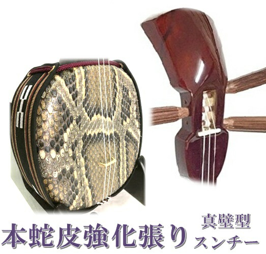 楽天市場】 三線 本蛇皮強化張り 初心者セット : 三線職人の専門店