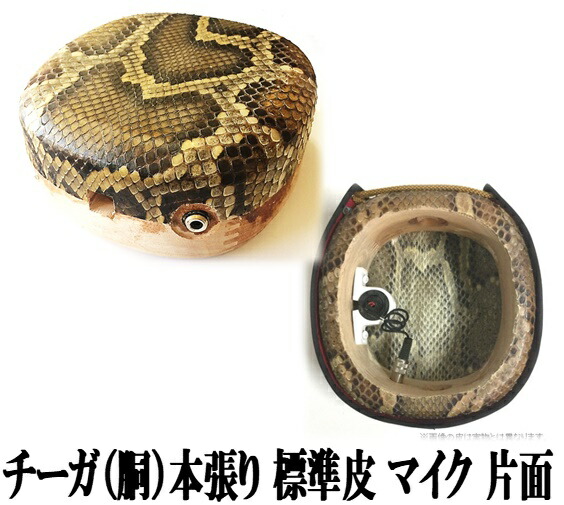 楽天市場】三線 チーガの通販