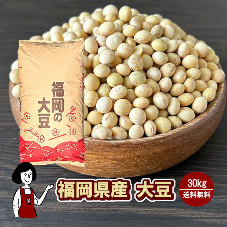 楽天市場】【楽天1位】ソイリッチ公式厳選！フクユタカ 1kg 3kg 6kg