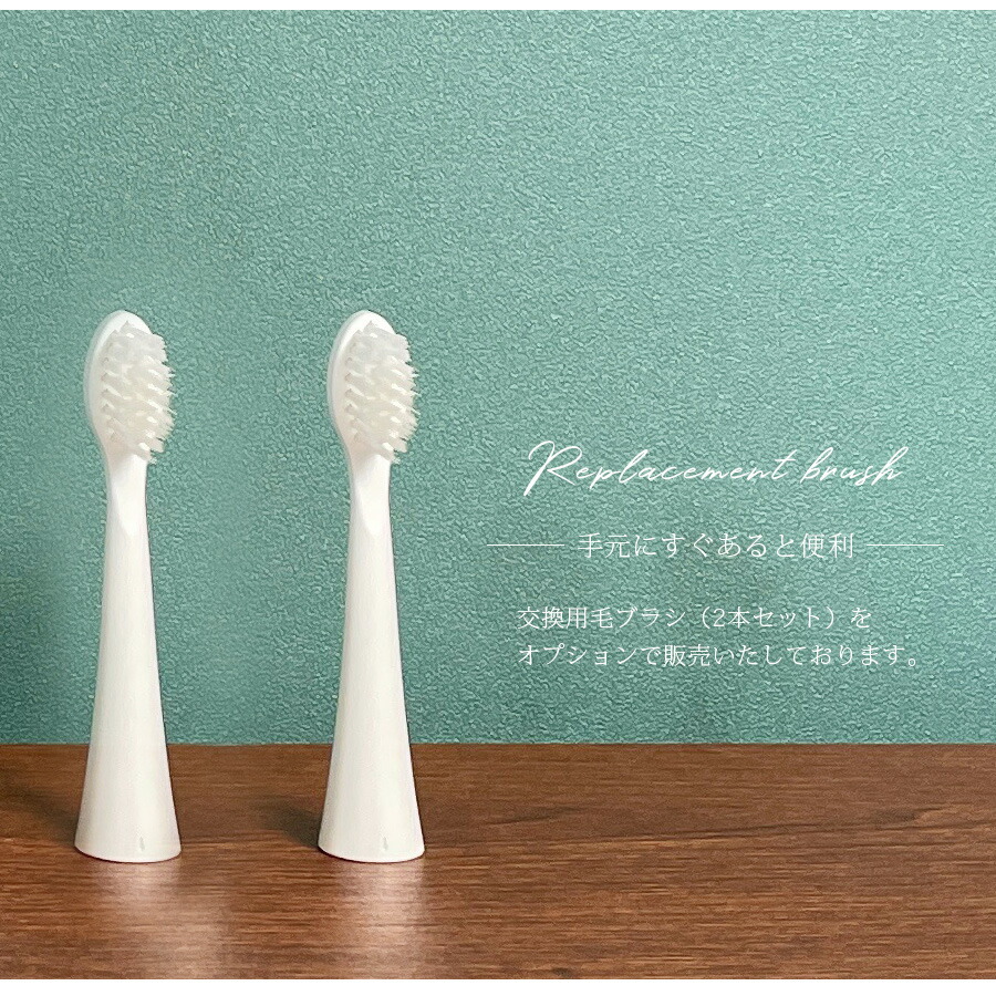 楽天市場】電動歯ブラシ シャイニーキャビテック 歯ブラシ 替え 自宅