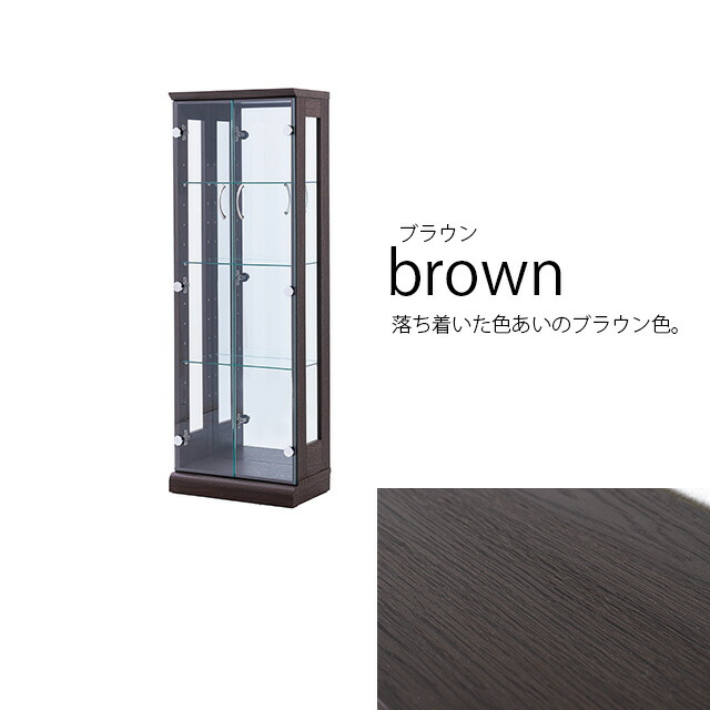 楽天市場】45コレクションボード コレクションケース キュリオケース