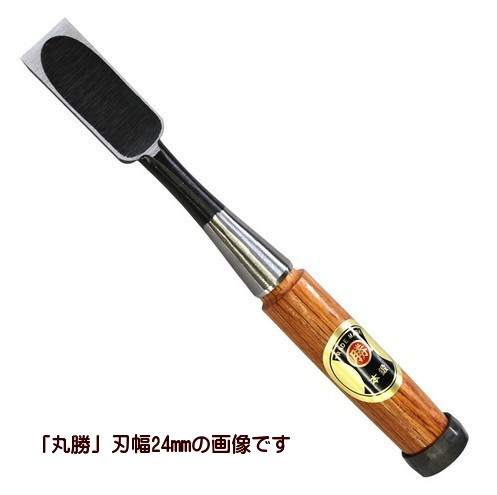 ノミ」の人気商品一覧 | 安い商品を通販サイトから探す - 価格.com