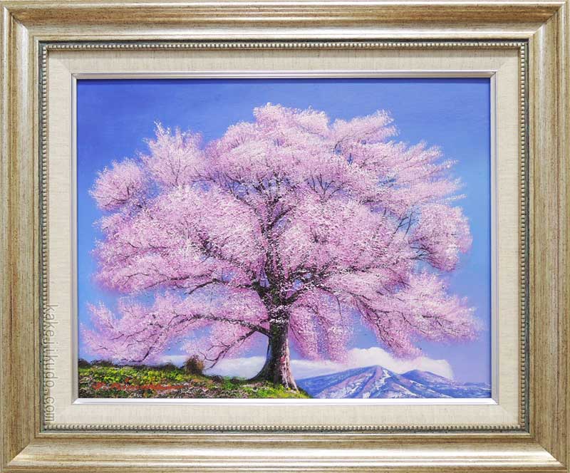 楽天市場】絵画 油絵 王仁塚（わにづか）の桜 （木村由記夫） 送料無料