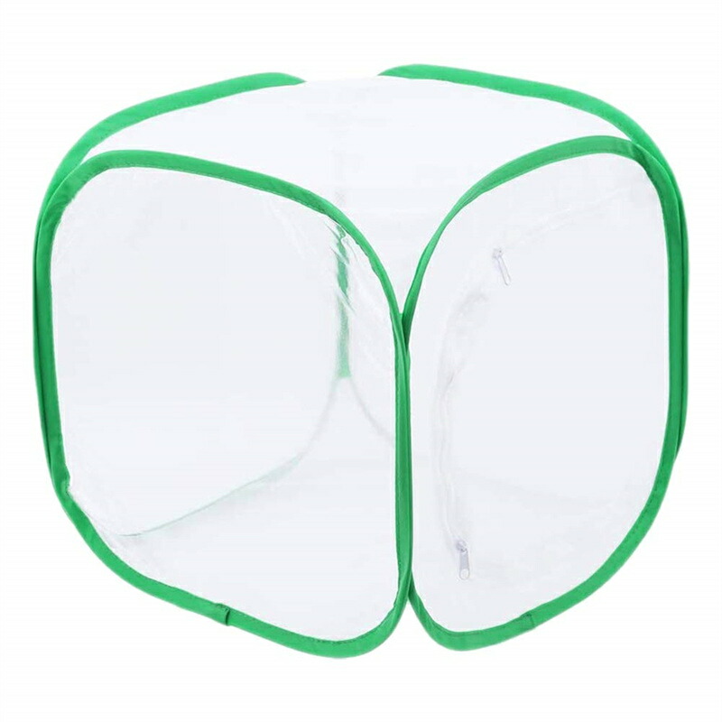 楽天市場】昆虫ケージ 飼育ケース ビニール温室 高通気性 携帯便利