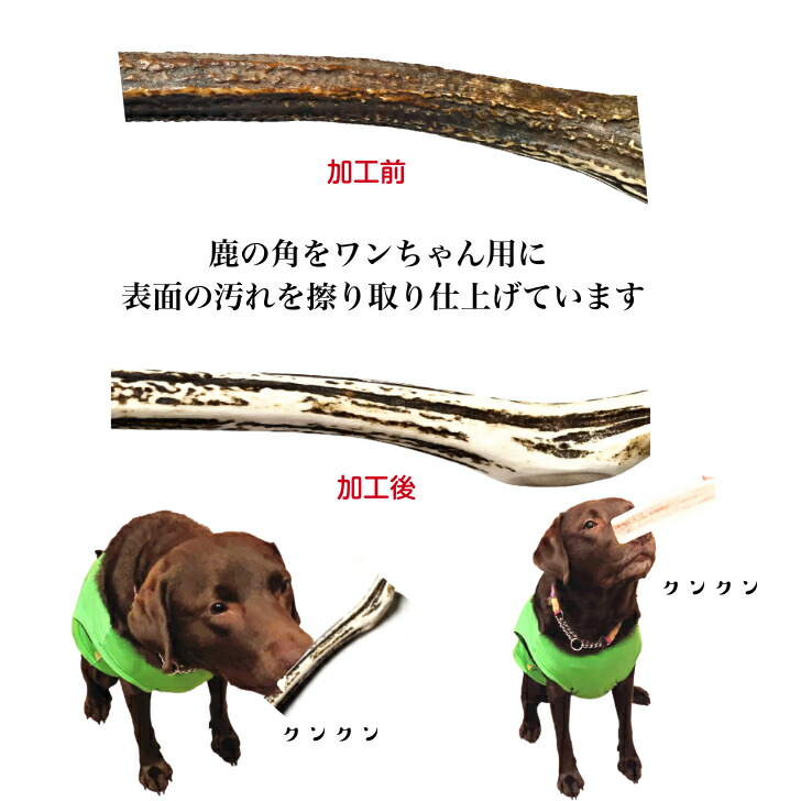 鹿の角 犬用おもちゃ 工芸品などにどうぞ 30番