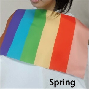 楽天市場】パーソナルカラー 診断用 簡易 ドレープ カラー診断 布