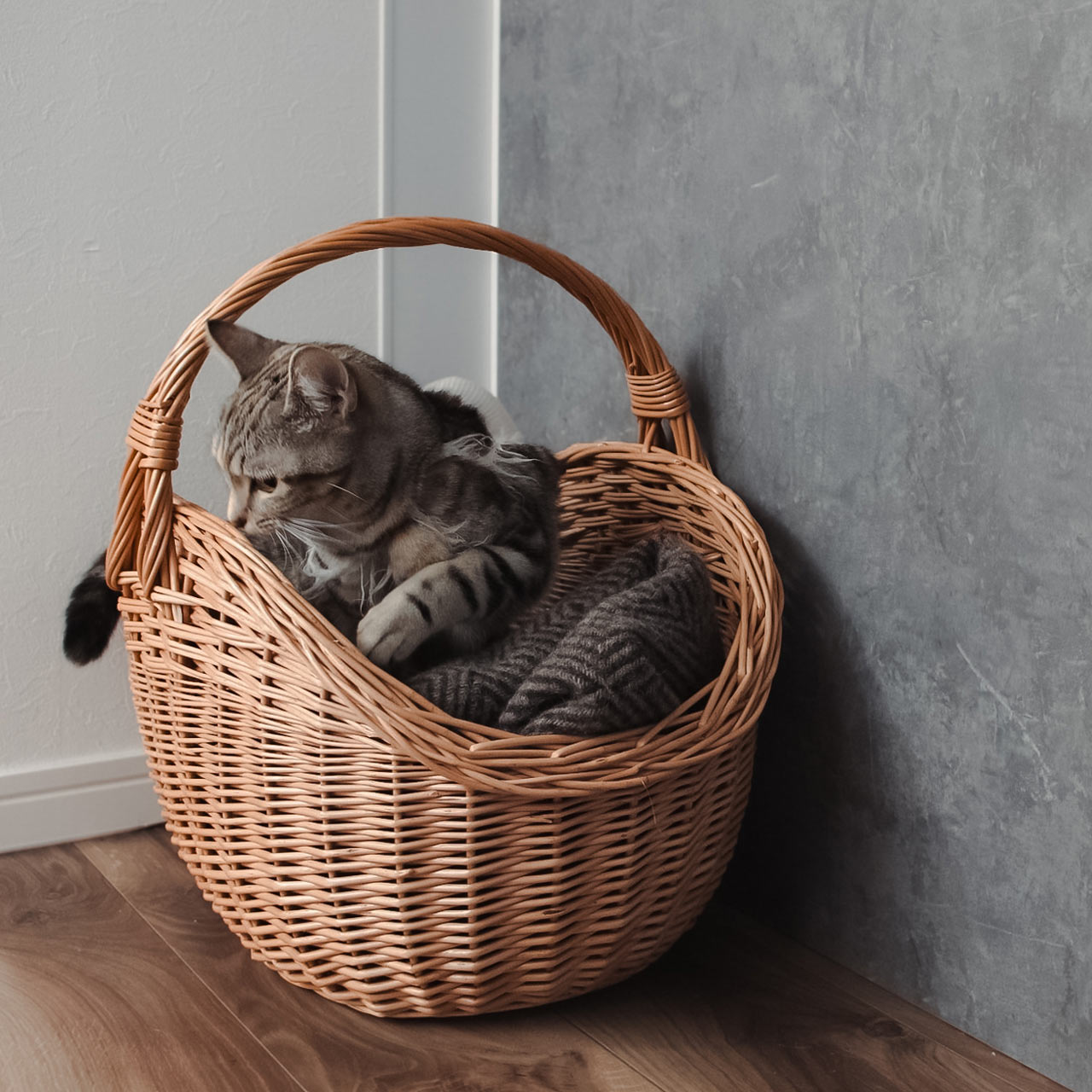 楽天市場】ラトビア 猫かご 薪のバスケット 2サイズ PINUMUPASAULE