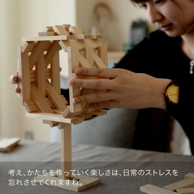 楽天市場】カプラ 積み木 KAPLA 280 初級 緑 アートブック付 魔法の板