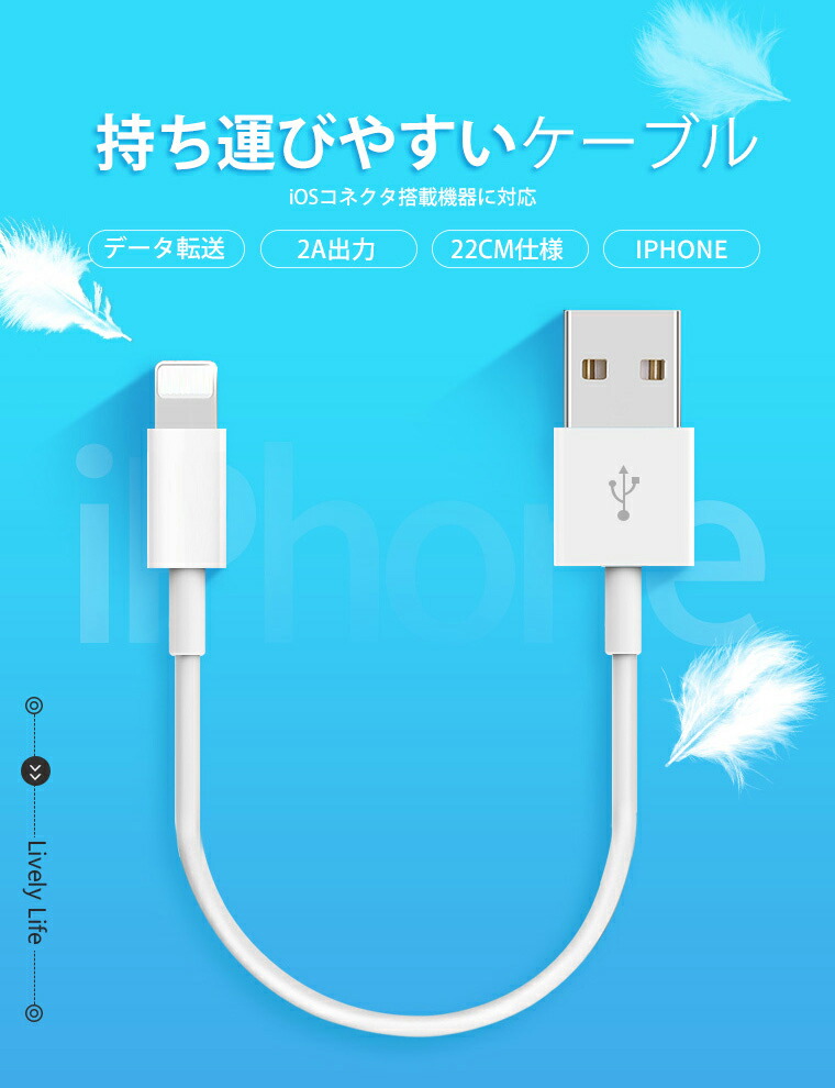 楽天市場】【2本セット】iPhone 13/13 Pro/13 Pro Max USB 充電