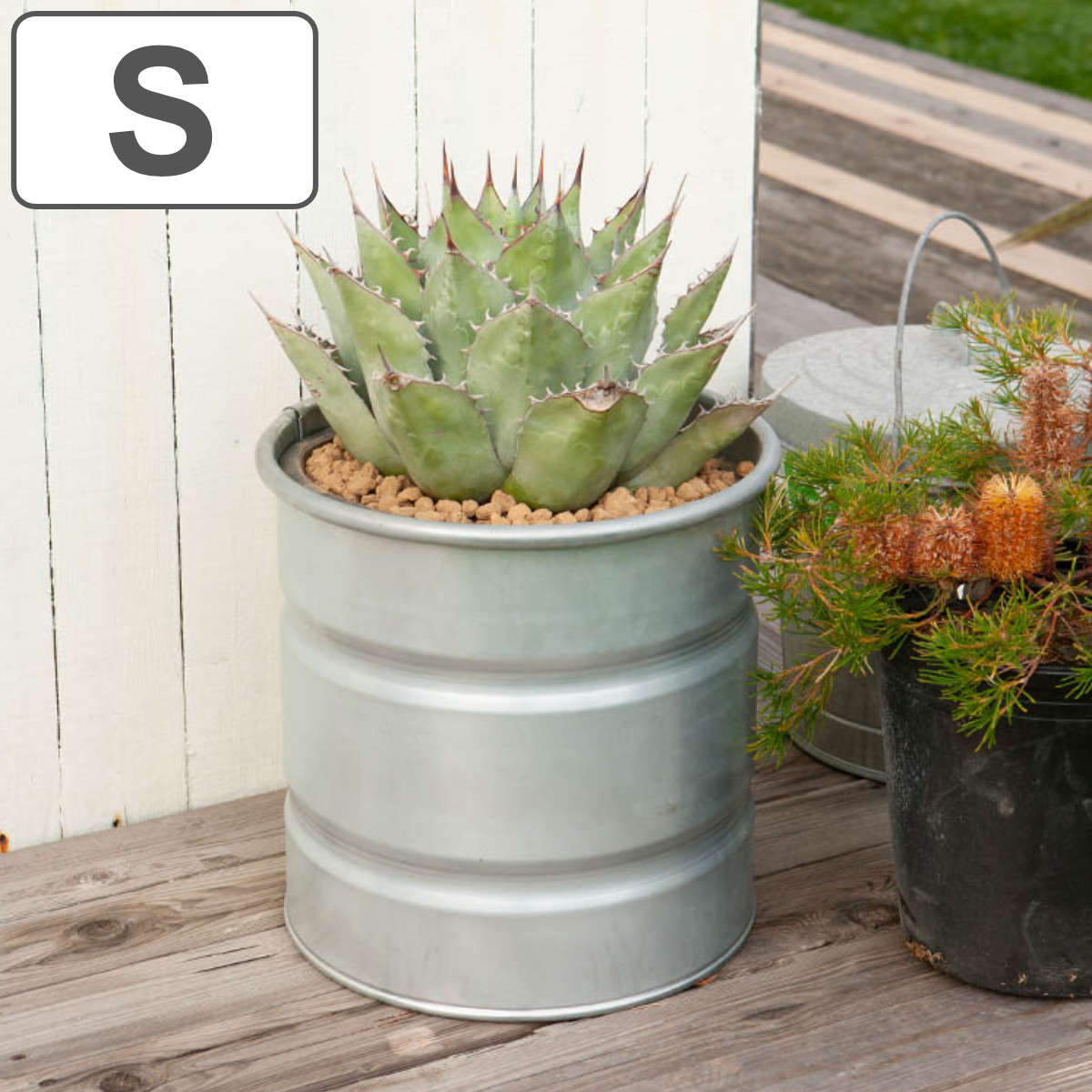 楽天市場】ドラム缶 プランタの通販