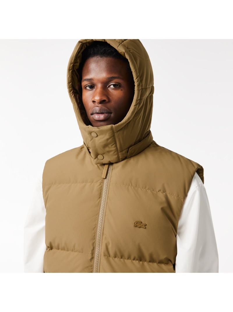 楽天市場】【SALE／30%OFF】クロコバックステッチダウンベスト LACOSTE