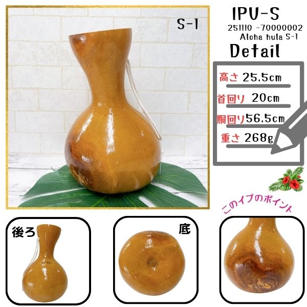 楽天市場】イプ Sサイズ フラ フラダンス 楽器 ハワイ ハワイアン