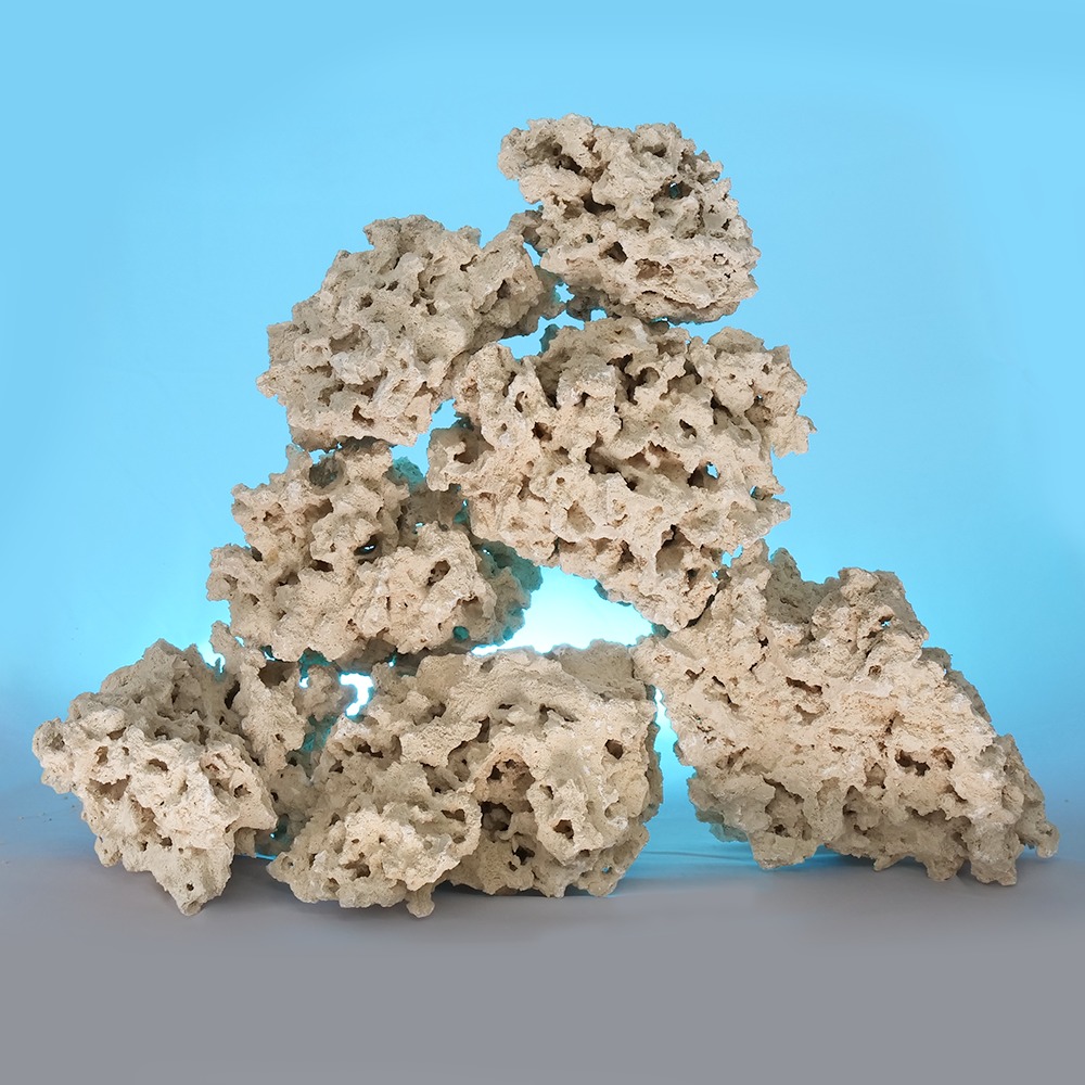 楽天市場】マルコロック リーフセーバー エッジ（Edge） SML