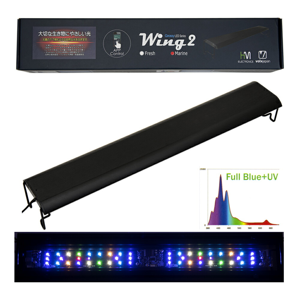 楽天市場】ボルクスジャパン Grassy Wing2 60