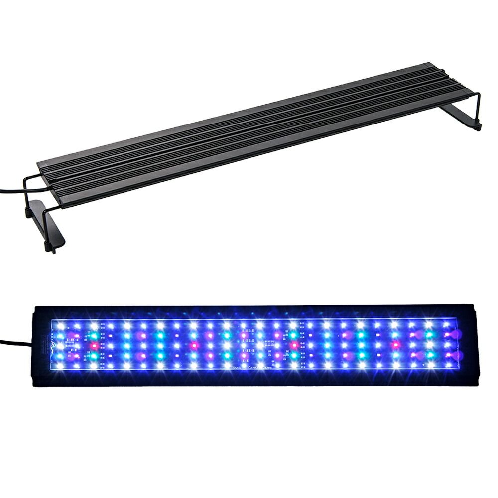 楽天市場】ボルクスジャパン Grassy Legna Marine