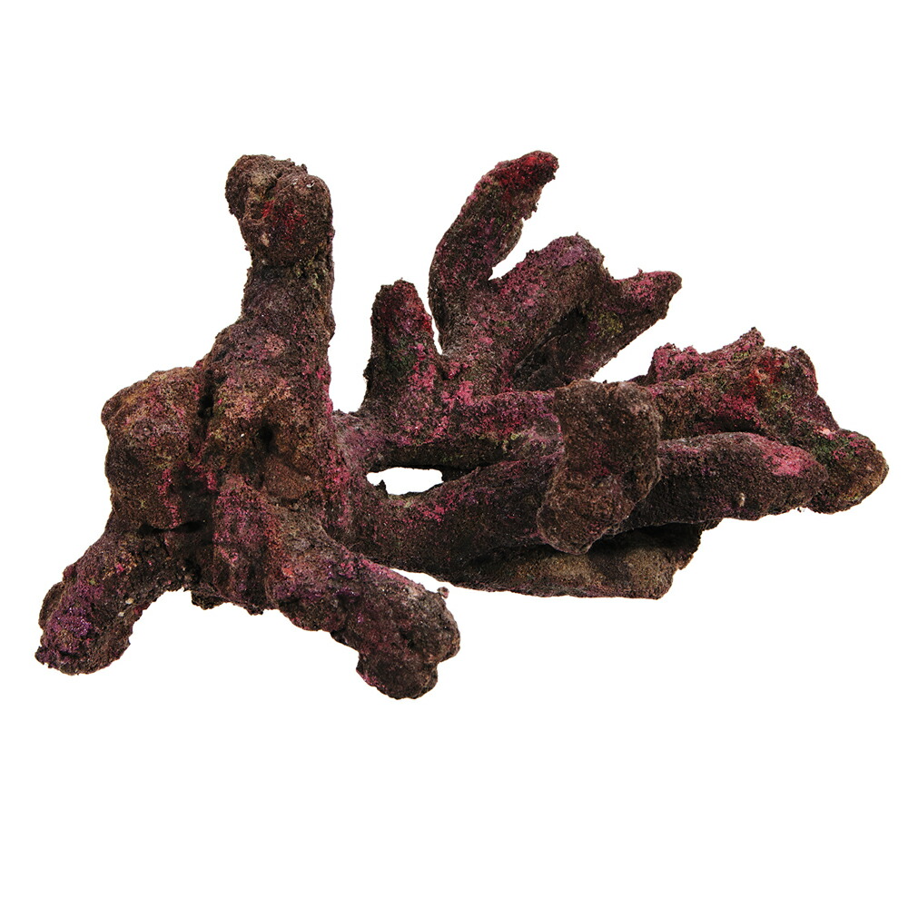 ライブロック レプリカ」の人気商品一覧 | 安い商品を通販サイトから