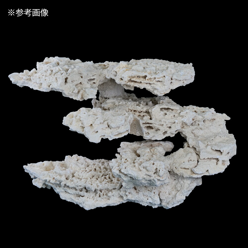 楽天市場】マルコロック リーフセーバー エッジ（Edge） Sサイズ